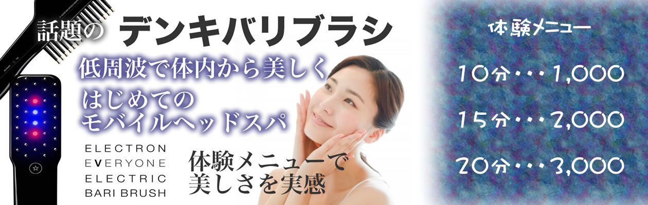 デンキバリブラシを体験してみよう！